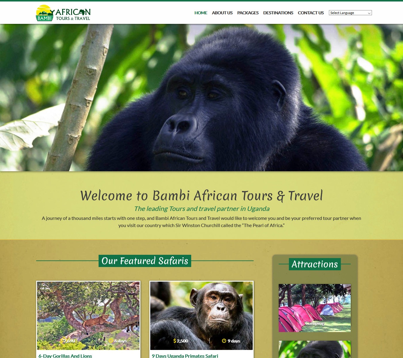 Bambi African Tours and Travel
